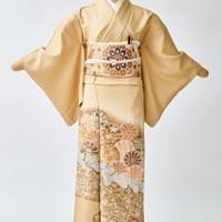 色留袖１４　44000円　身長165cmまで