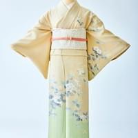 訪問着11　33,000円