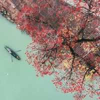 4 Days to Explore Foshan