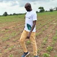 Field Inspections 
