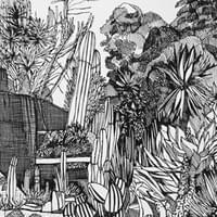 Succulent Garden Sydney 2
