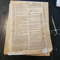 humidified, flattened, and lined pages