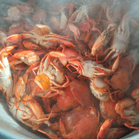 Steamed Crabs