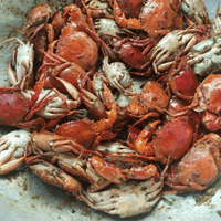 Stir Fried Sea Crabs