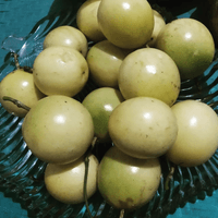 Passion Fruit