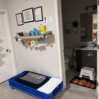 Stefy's Happy Panda 3