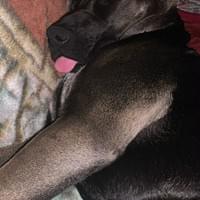 My Precious sleeping