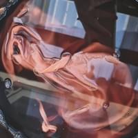Naturally dyed garment