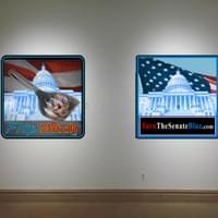 FlipMitch.com - TurnTheSenateBlue.com
