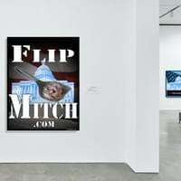 FlipMitch.com --TurnTheSenateBlue.com