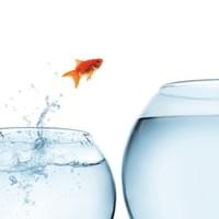 What is drug rehab SEO?