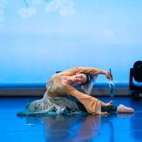 《清风羽影》2025