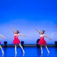 《鸟语花香》2025