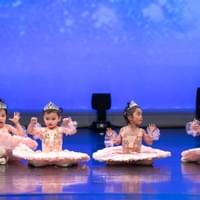 《我的骄傲》2025