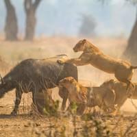 Encounter with the Big Five