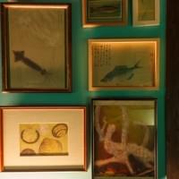 Fisherman’s Dream, 2019, illustrated book, photograph, eraser shavings, resin clay, furniture, narration, short story