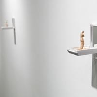 Venus Foundation, 2012, foundation