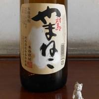 Yamaneko Dust, 2012, photo: Tadasu Yamamoto