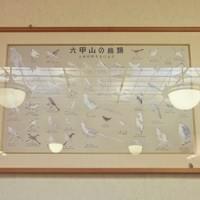 Rokko Bird Dust, 2014, painting(reproduction), eraser shavings