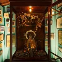 Fisherman’s Dream, 2019, illustrated book, photograph, eraser shavings, resin clay, furniture, narration, short story