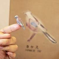 Rokko Bird Dust, 2014, painting(reproduction), eraser shavings