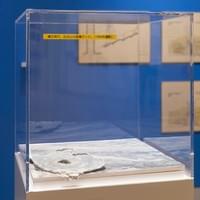 The Seven Ghosts of Museum Past, 2019, photograph, eraser shavings, short story