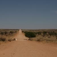 Durch das Khomas-Hochland