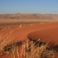 Malerische Dünen auf Gunsbewys