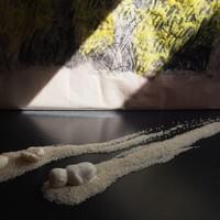 This quiet long battle　(detail)