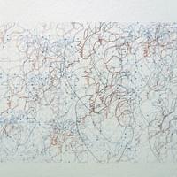 Voyage intérieur (au coeur d'une lésion)