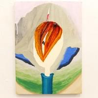 剥きかけのりんご　335×240mm