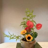 習美堂半日閑人文茶空間