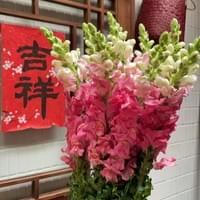 習美堂半日閑人文茶空間