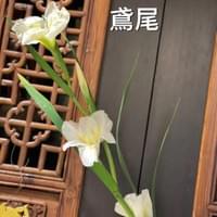 習美堂半日閑人文茶空間