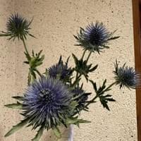 習美堂半日閑人文茶空間