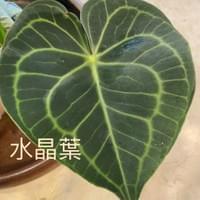 習美堂半日閑人文茶空間