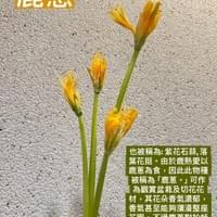 習美堂半日閑人文茶空間