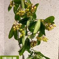 習美堂半日閑人文茶空間