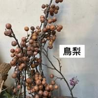 習美堂半日閑人文茶空間