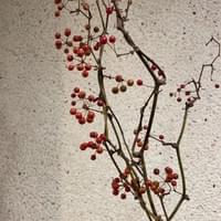 習美堂半日閑人文茶空間