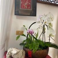 習美堂半日閑人文茶空間