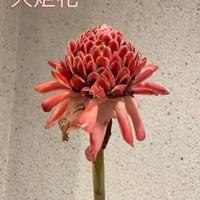 習美堂半日閑人文茶空間