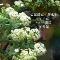 習美堂半日閑人文茶空間