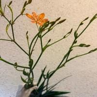 習美堂半日閑人文茶空間