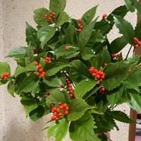 習美堂半日閑人文茶空間