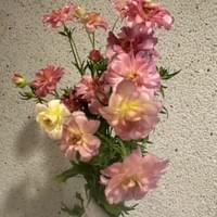 習美堂半日閑人文茶空間