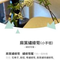 習美堂半日閑人文茶空間