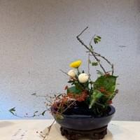 習美堂半日閑人文茶空間