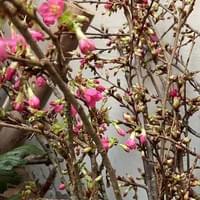 習美堂半日閑人文茶空間