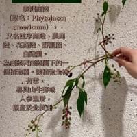 習美堂半日閑人文茶空間